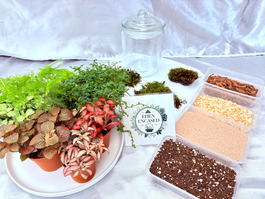 DIY terrarium workshop at Dee cafe 22/11/25