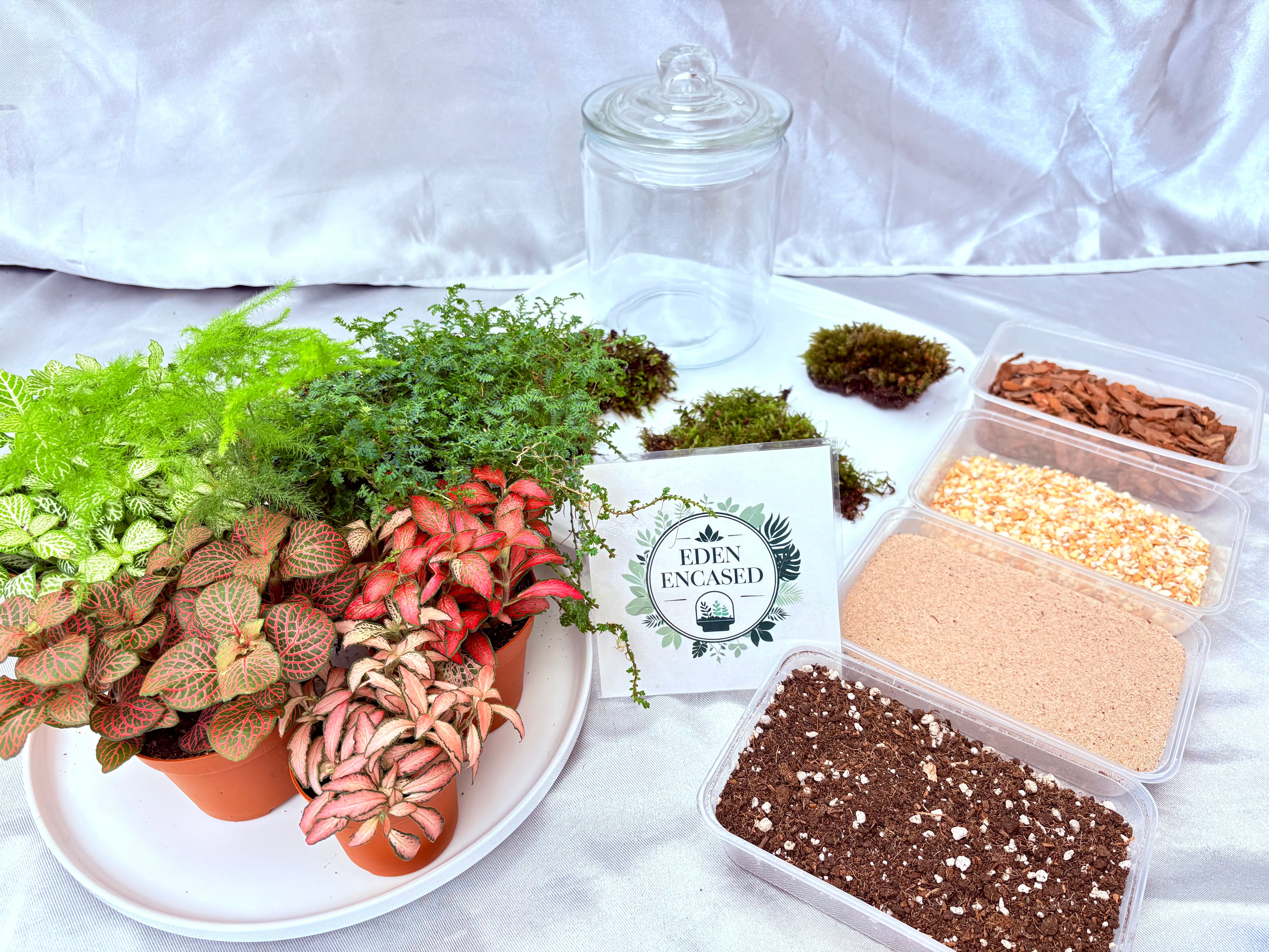 DIY terrarium workshop at Dee cafe 22/11/25