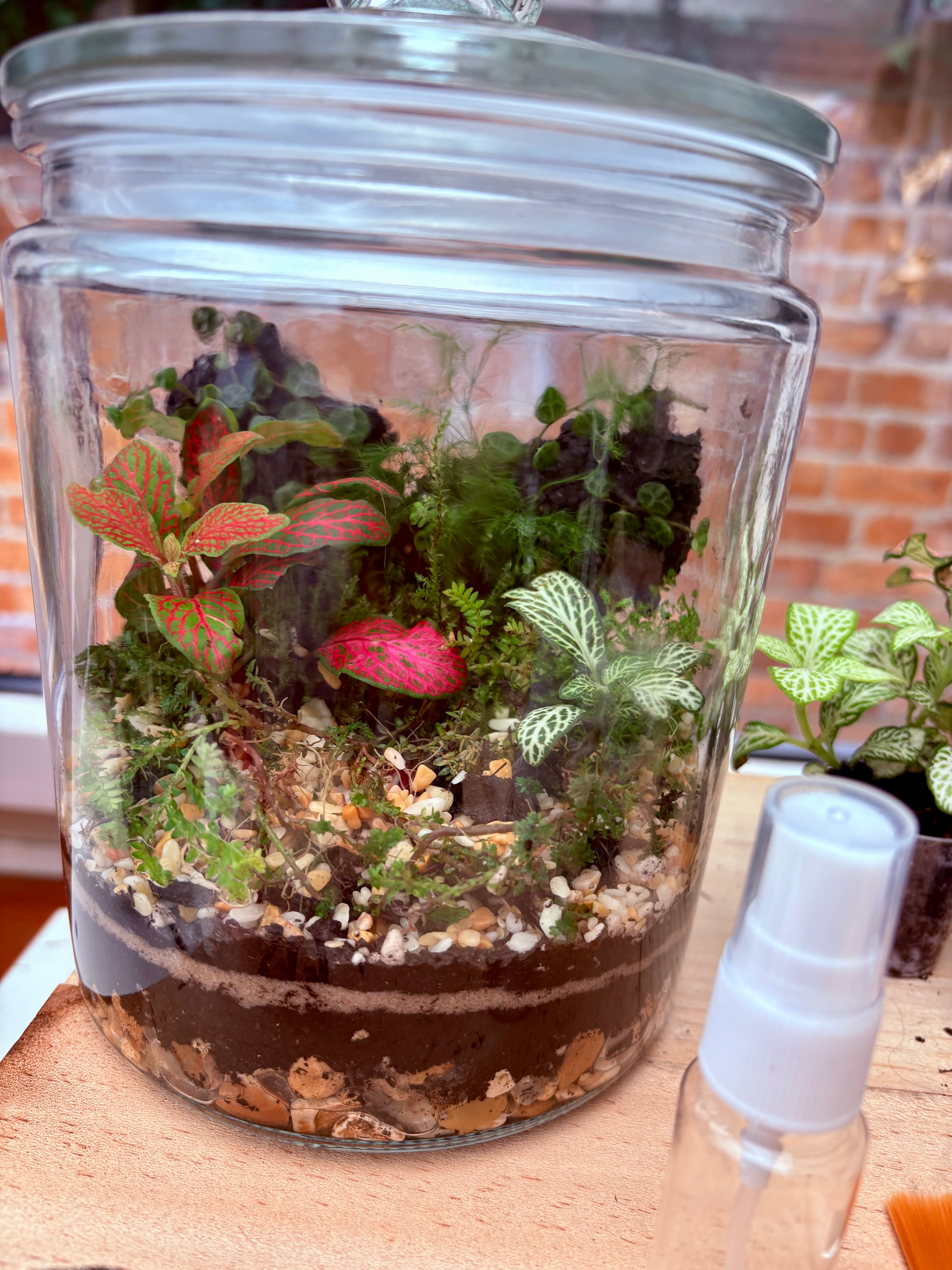 Terrarium workshop, at Becketts pavilion Café, 7th Dec 2025
